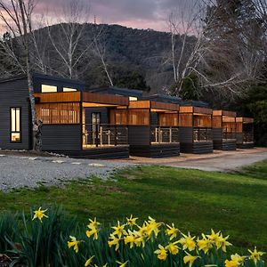 Superior Villa